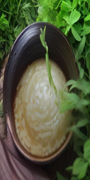 短剧免费观看 短剧播放界面清晰显示选集菜单与评论弹幕，画面明亮有活力